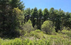 4 Goose River Estates, Swanville, ME 04915
