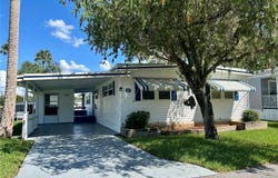 33 COCOS PLUMOSA Drive, EUSTIS, FL 32726