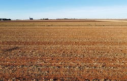 6663 Tiger, Ropesville, TX 79358