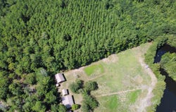 Hardwick Rd., Nichols, SC 29581