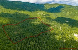 NHN Peach Park Loop, Rollins, MT 59931