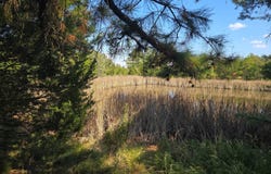 N80 Helt Rd, Antlers, OK 74525