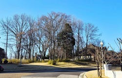 2447 SANDERS RIDGE Dr lot: 23, Germantown, TN 38138