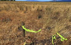 Erickson Rd, Centerville, WA 98613
