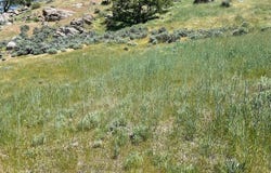 0 Big Sky, Tehachapi, CA 93561
