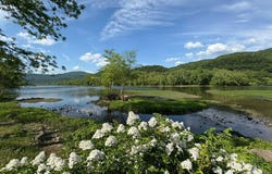 1353 New River Rd, Hinton, WV 25951