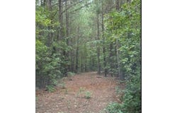 18a Old Edgefield Road, Ninety Six, SC 29666