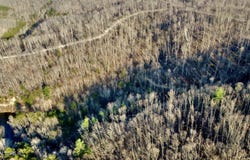 Mill Creek Rd, Sunbright, TN 37872