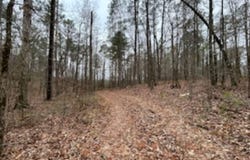 HIGHWAY 55 lot: 0, WILSONVILLE, AL 35186