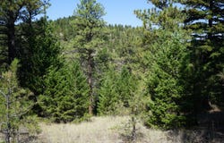 TBD Ridge Crest Ln, Cascade, MT 59421