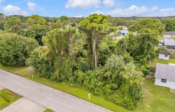 UMBRELLA TREE Drive, EDGEWATER, FL 32132