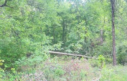 First St, Eden, NC 27288