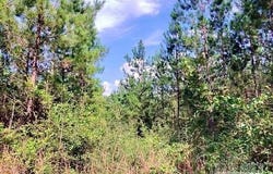 Teton Crest Dr lot: 35, Pace, FL 32571