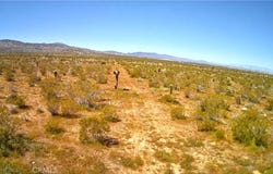 106 Street E, Pearblossom, CA 93543