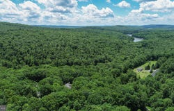N GLADE Road, SWANTON, MD 21561