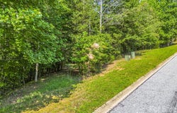 2 Jackson Cove Road W, Mill Spring, NC 28756