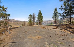 42401 Johns View Pl E, Davenport, WA 99122