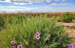 Boone Rd, Boone, CO 81025