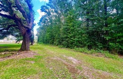 Ellisville Blvd, Laurel, MS 39440