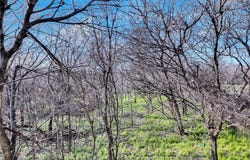 7312 E Ben White Blvd, Austin, TX 78741