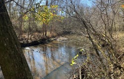 Highway 21, Monroeville, AL 36460