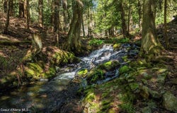 NNA Garfield Bay Rd, Sagle, ID 83860