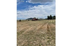 302 Hermit Lane, Westcliffe, CO 81252