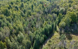 1746 SZ Road, Arnold, MI 49819