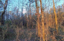ZUBERS ROAD lot: 0, SYLACAUGA, AL 35150