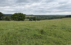 N Highway, Squires, MO 65755