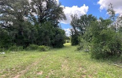 W FM 2486, Gustine, TX 76455