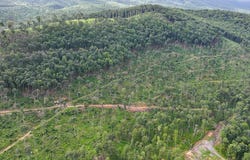 Dunlap Creek Road, Covington, VA 24426