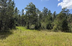 Hartery, Saucier, MS 39574
