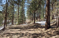 Groves Drive lot: 9, Durango, CO 81301