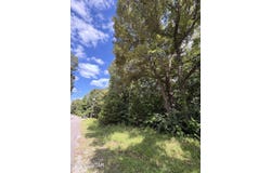 12 Northshore Drive, Jackson, TN 38305