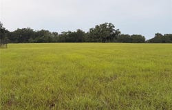 6851 SE HIGHWAY 41, MORRISTON, FL 32668