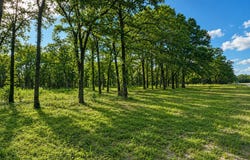 County Road 1503, Point, TX 75472