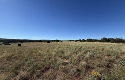 100 N COUNTY ROAD 5331, Concho, AZ 85924