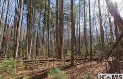 Cullowhee Forest Road lot: 47, Cullowhee, NC 28723