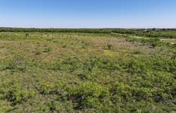 Cr 356, Anson, TX 79501