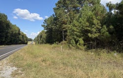 Highway 431, Lafayette, AL 36862