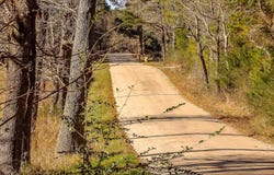 21781 CR 2160, Troup, TX 75789