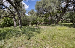 Cr 393, Camp Wood, TX 78833