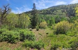 Braffits Creek Lot 61&62, Brian Head, UT 84719