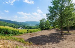 132 Debar Hill Road, Middleburgh, NY 12122
