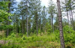 Bishop Road, Union, SC 29379
