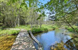 5218 Mitchell Road, Central Lake, MI 49622