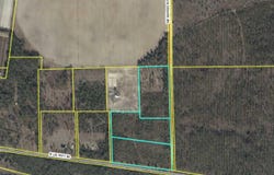 Vacant NE Mango Avenue, Lee, FL 32059