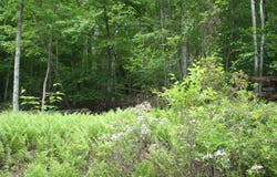 HIGH VALLEY S lot: 52, MONTEREY, VA 24465