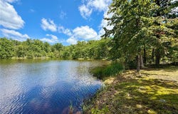 96 Helmering Road, Steelville, MO 65565
